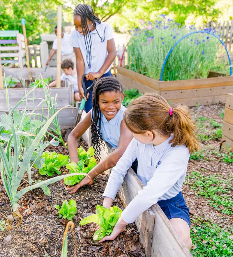 Canterbury students working in garden